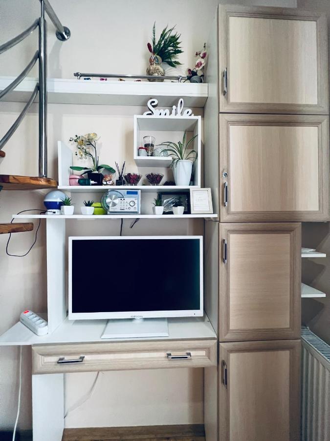 Apartment In The City Center Mini Ivano-Frankivsk Eksteriør bilde