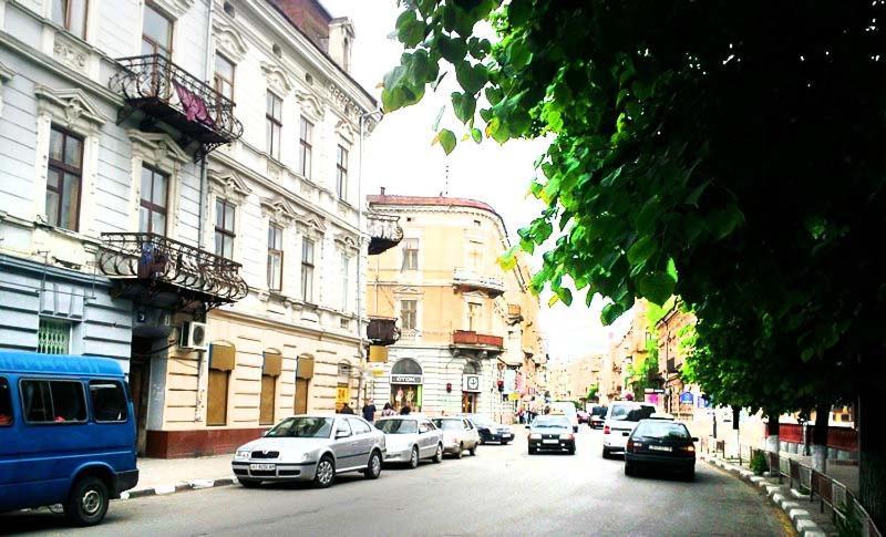 Apartment In The City Center Mini Ivano-Frankivsk Eksteriør bilde
